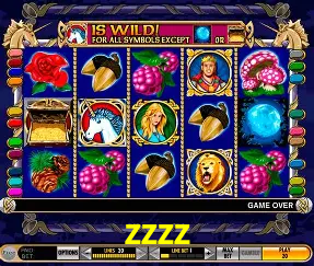 Live Casino zzzz